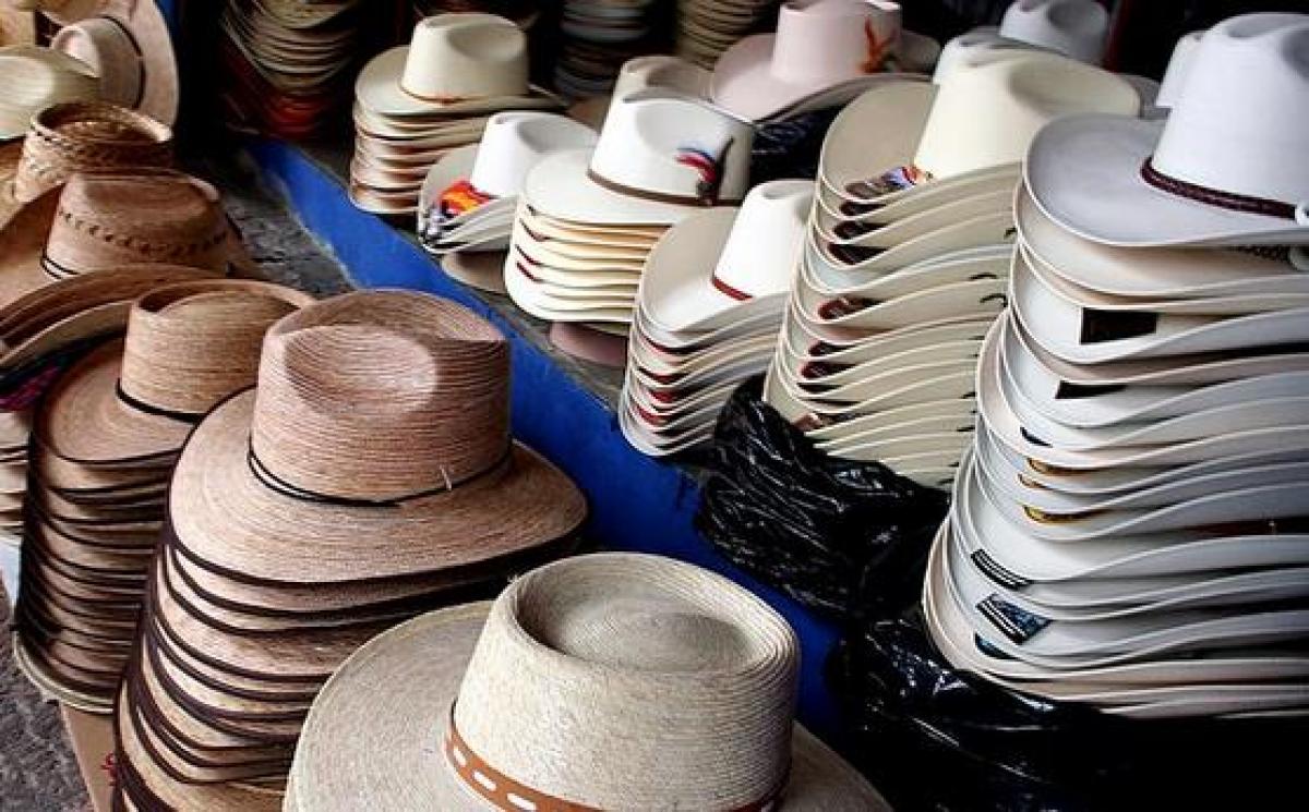 Miserable Pompeya Ataque de nervios Programa de la Feria Nacional del Sombrero 2019 - Turismo en Guanajuato